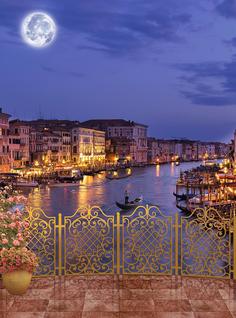 Фотообои Divino Decor Z-248 Вид на ночную Венецию 200х270 DIVINO