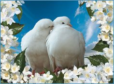 Фотообои бумажные VOSTORG Любовь и верность 134*98