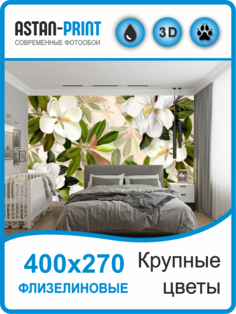 Фотообои флизелиновые Крупные цветы 400х270 Astan