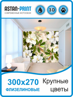 Фотообои флизелиновые Astan Крупные цветы 300х270