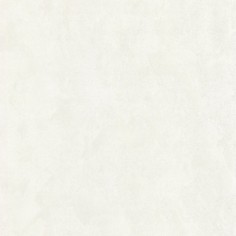 Обои 75186-11 R аспект Арго