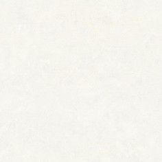 Обои Euro Decor 5044-00