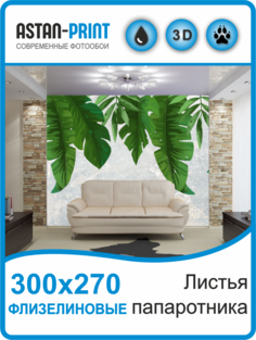 Флизелиновые фотообои Листья папоротника 300х270 Astan