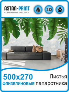Флизелиновые фотообои Листья папоротника 500х270 Astan