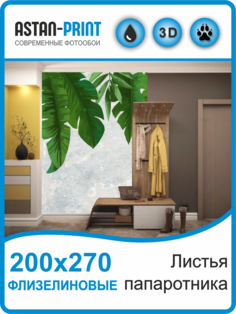 Флизелиновые фотообои Листья папоротника 200х270 Astan