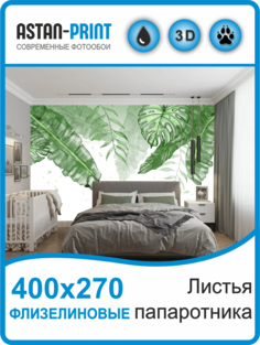 Флизелиновые фотообои Листья папоротника 400х270 Astan