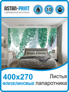Флизелиновые фотообои Листья папоротника 400х270 Astan
