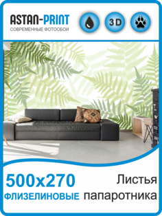 Флизелиновые фотообои Листья папоротника 500х270 Astan
