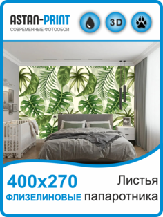 Флизелиновые фотообои Листья папоротника 400х270 Astan