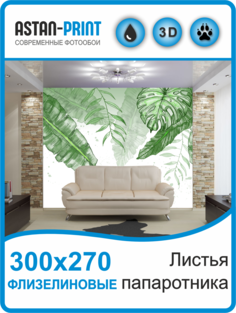 Флизелиновые фотообои Листья папоротника 300х270 Astan