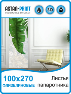Флизелиновые фотообои Листья папоротника 100х270 Astan