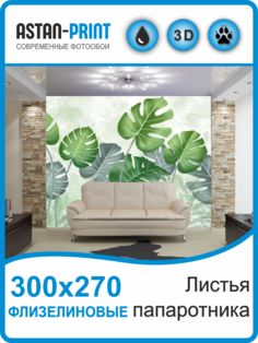Флизелиновые фотообои Листья папоротника 300х270 Astan
