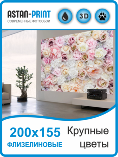 Фотообои флизелиновые Крупные цветы 200х155 Astan
