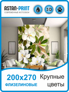 Фотообои флизелиновые Крупные цветы 200х270 Astan