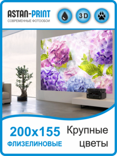 Фотообои флизелиновые Крупные цветы 200х155 Astan