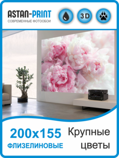 Фотообои флизелиновые Крупные цветы 200х155 Astan