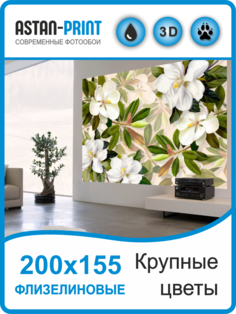 Фотообои флизелиновые Крупные цветы 200х155 Astan