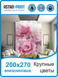 Фотообои флизелиновые Крупные цветы 200х270 Astan