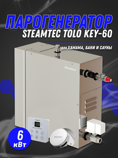 Парогенератор Steamtec TOLO-60-KEY (6 Квт), 220В (объем парной 5-7 м3)