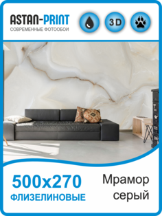 Флизелиновые фотообои Мрамор серый 500х270 Astan