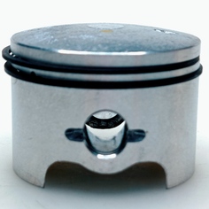 Поршень в сборе для Carver RSG-72-20К, арт. 01.008.00254
