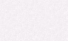 Обои 84214-1 Bernardo Bartalucci Carlotta 1,06м х 10,05м винил на флизелине