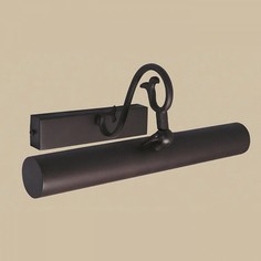 Подсветка для картин Napoli 1 L13878.03 Larte Luce