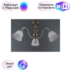 Потолочная люстра DeMarkt Ариадна с поддержкой Маруся 105010603-М