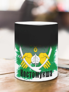Кружка Флаг Костомукши, хамелеон No Brand