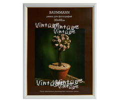 Фоторамка Baummann 30x40 см C17 Lefard