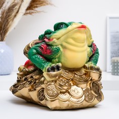 Фигура "Лягушка на монетах" цветная большая 34х25см Хорошие сувениры