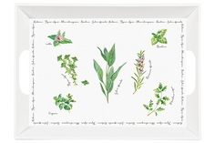 Поднос Easy Life Herbarium 51х38см пластик EL-R0347_HERU_