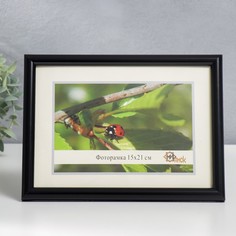 Фоторамка пластик 15х21 см 385-blak (пластиковый экран) Remeco Collection
