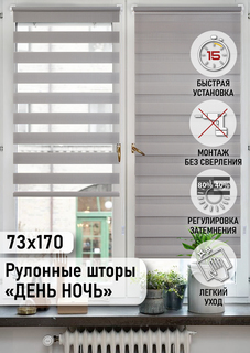Рулонная штора Эскар Миниролло День-Ночь серый 73х170см