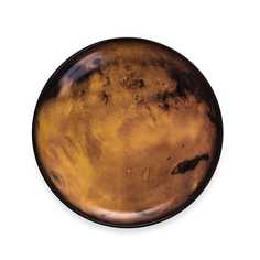 Тарелка Seletti Venus 10828 26 см. Дизайнерская посуда из фарфора (Италия)