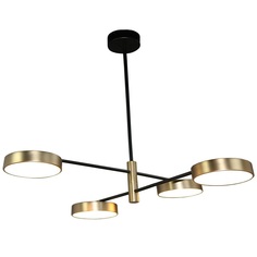 Подвесная люстра Zortes Lunar ZRS.01243.04