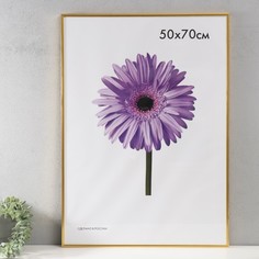 Фоторамка пластик Lida 50х70 см золото No Brand