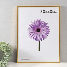 Фоторамка пластик Lida 30х40 см золото No Brand