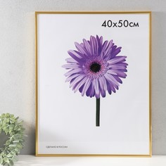 Фоторамка пластик Lida 40х50 см золото No Brand