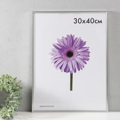 Фоторамка пластик Lida 30х40 см серебро No Brand