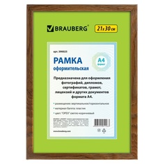 Набор из 5 шт, Рамка 21х30 см (390025) No Brand