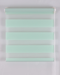 Рулонная штора День и Ночь, размер 55x160 см, цвет светло-зеленый No Brand