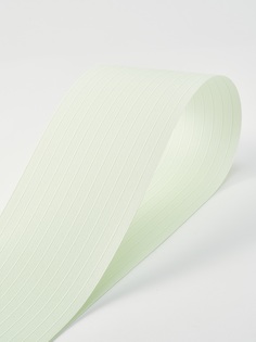 Ламели для вертикальных жалюзи 20шт длиной 240см Лайн светло-зелёный без карниза