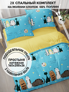 Постельное белье Кот Коттон Коты Эрмитажа 2-спальный