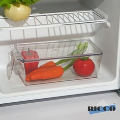 Органайзер для холодильника с крышкой и ручкой RICCO, 32x14,5x10 см