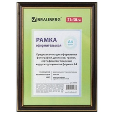 Набор из 5 шт, Рамка 21х30 см (390986) No Brand