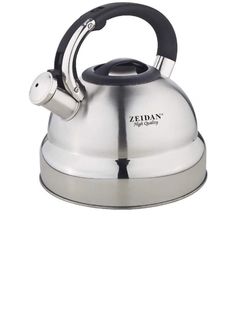 Чайник Zeidan Z-4167 обьем 4,0л нерж