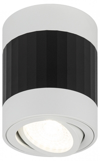 Светильник настенно-потолочный спот ЭРА OL34 WH/BK MR16 GU10, черный, белый (Б0056383) ERA