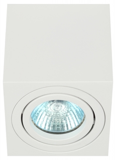 Светильник настенно-потолочный спот Эра OL22 WH MR16/GU10, белый, поворотный (Б0054394) ERA