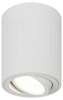 Светильник настенно-потолочный спот ЭРА OL34 WH MR16 GU10, белый (Б0056382) ERA